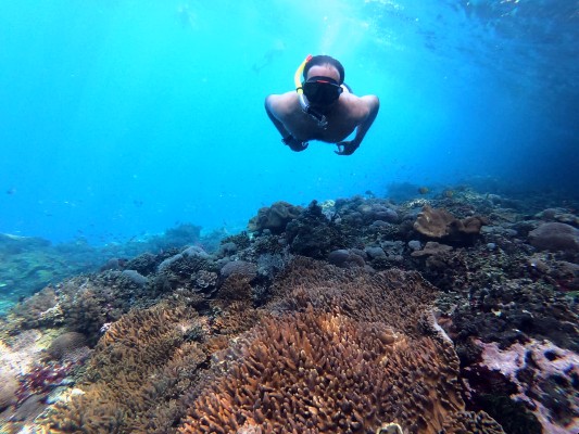 Snorkeling at Nusa Penida